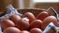 can-you-afford-to-put-all-your-eggs-in-one-basket